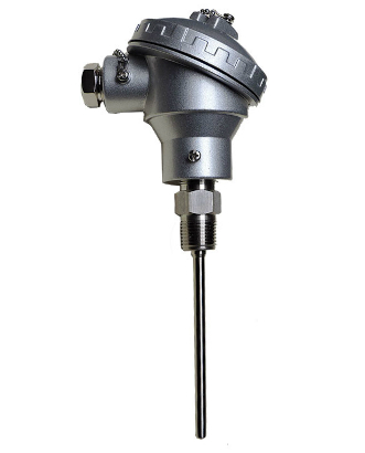 Model RT50 Direct immersion RTD assembly with transmitter